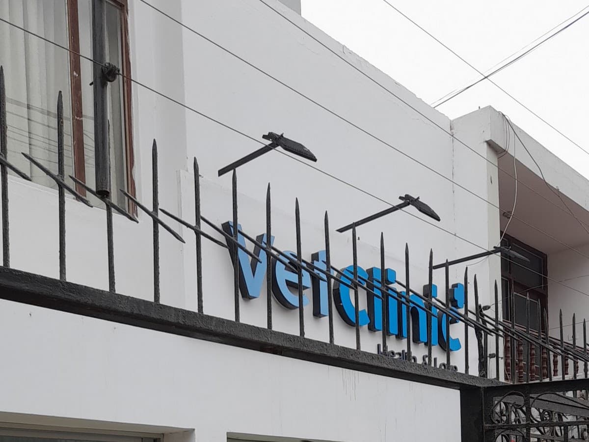 Clínica Veterinaria Coquito
