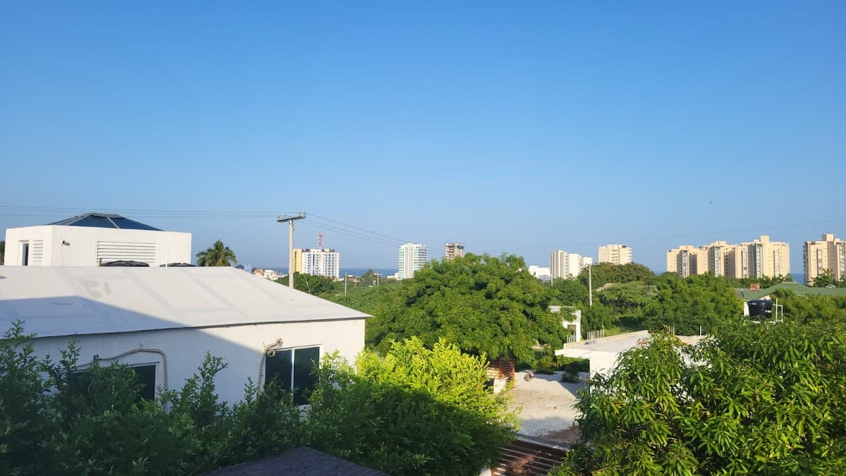Mirador de las gaviotas
