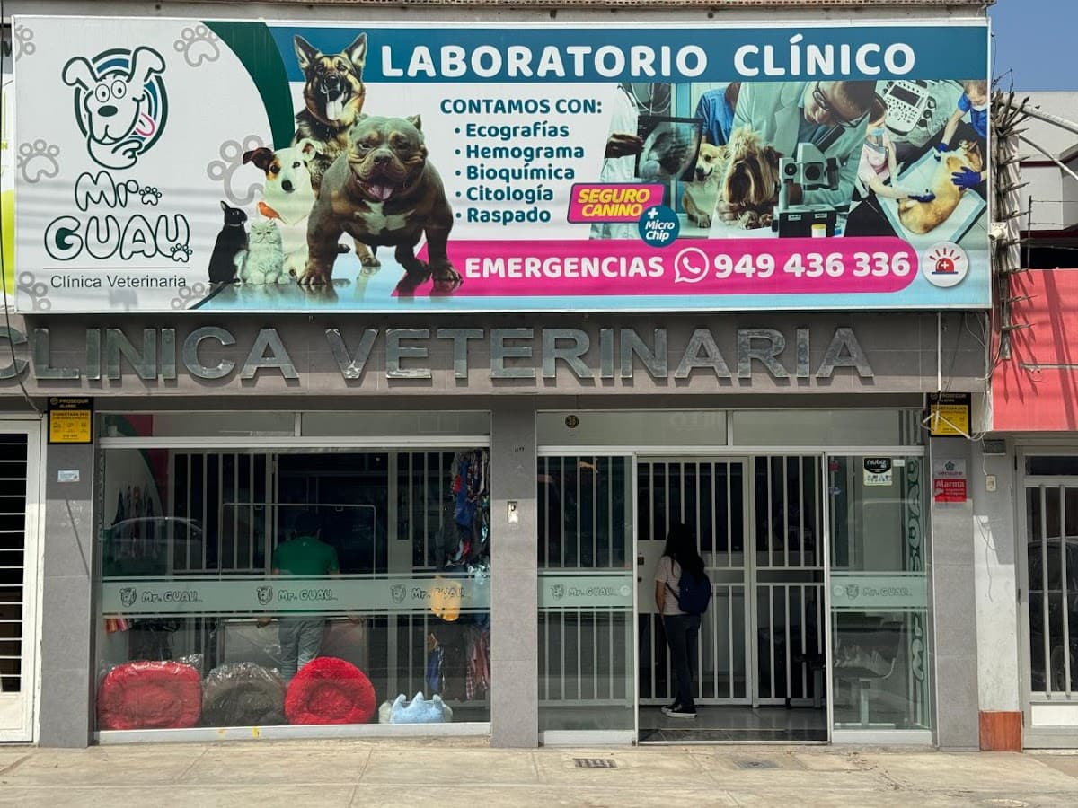 Medivet — foto