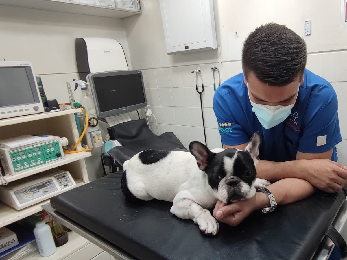 Medivet — foto