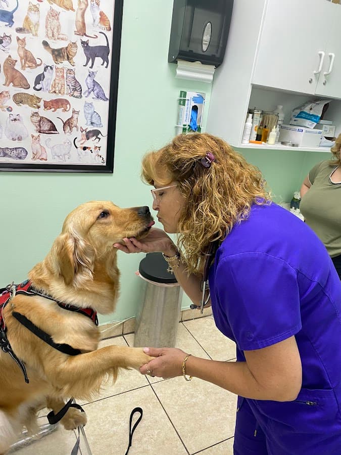 Four Paws Angels Animal Clinic