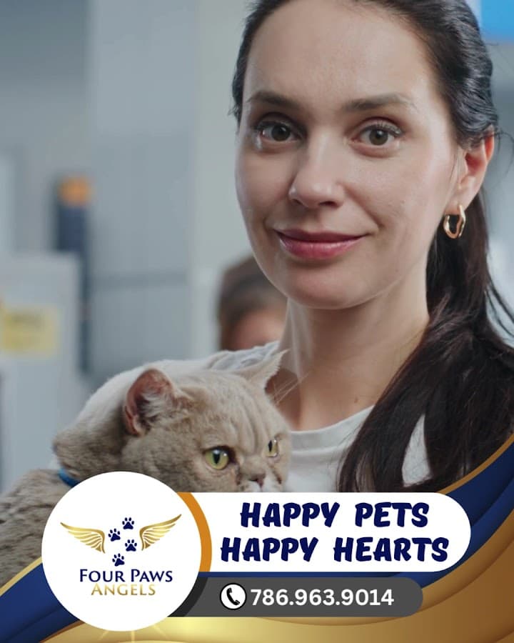 Four Paws Angels Animal Clinic — foto