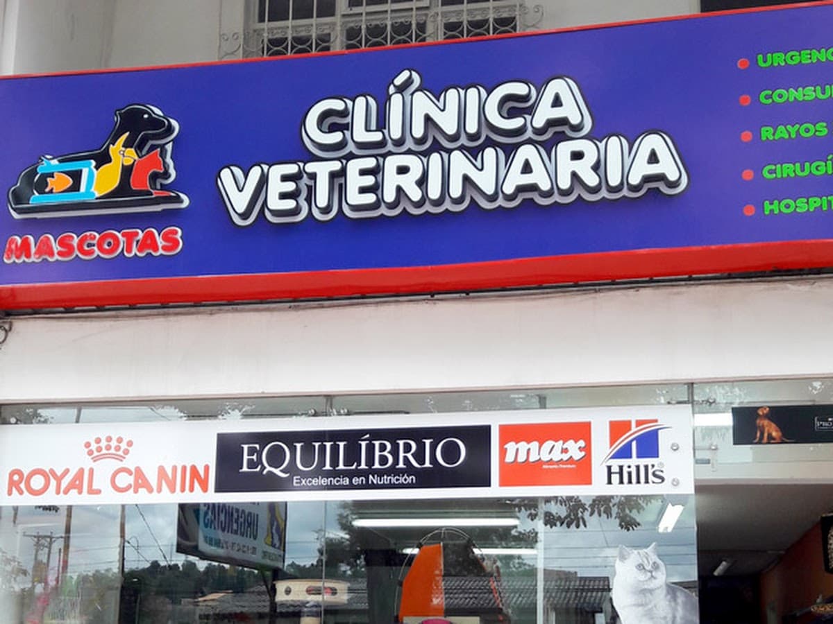 Mascotas Felices Dr Lozano — foto