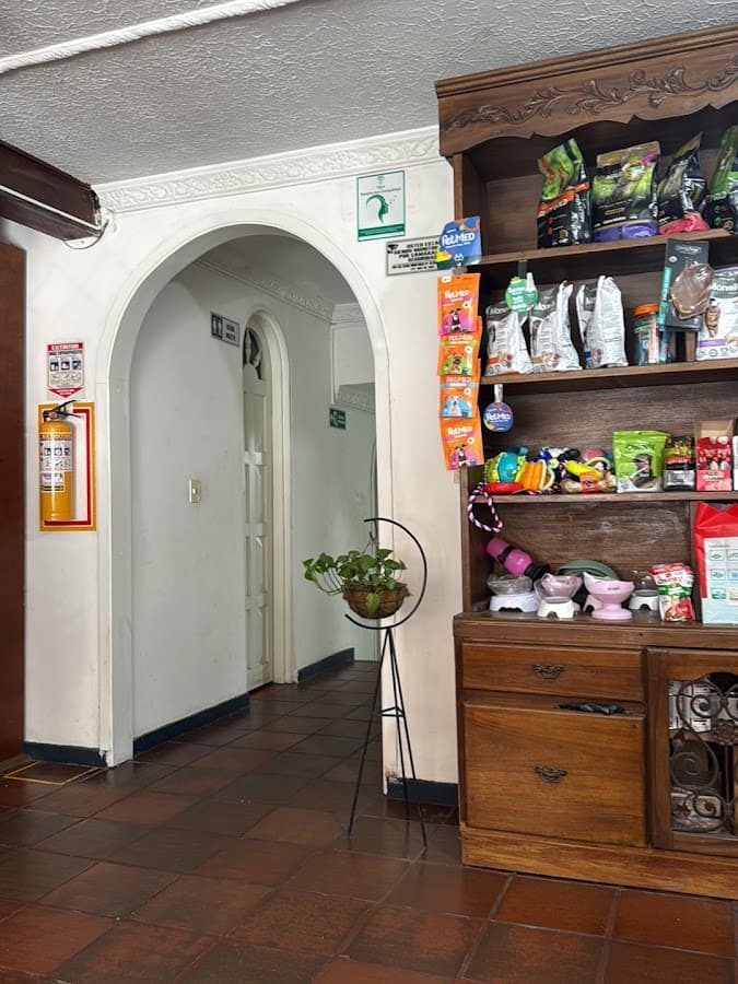 Albéitar Clínica Veterinaria — foto