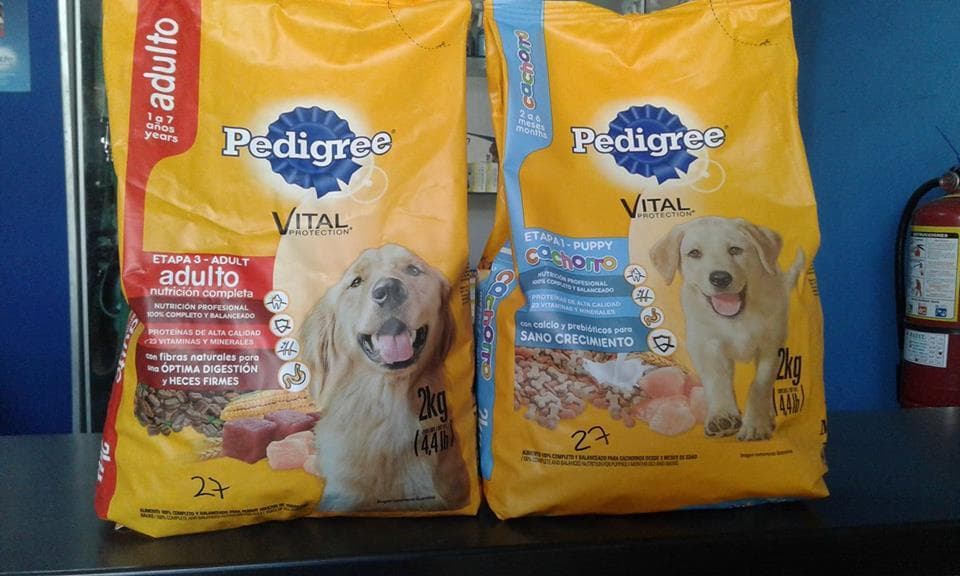 Veterinaria San Martín de Porras — foto