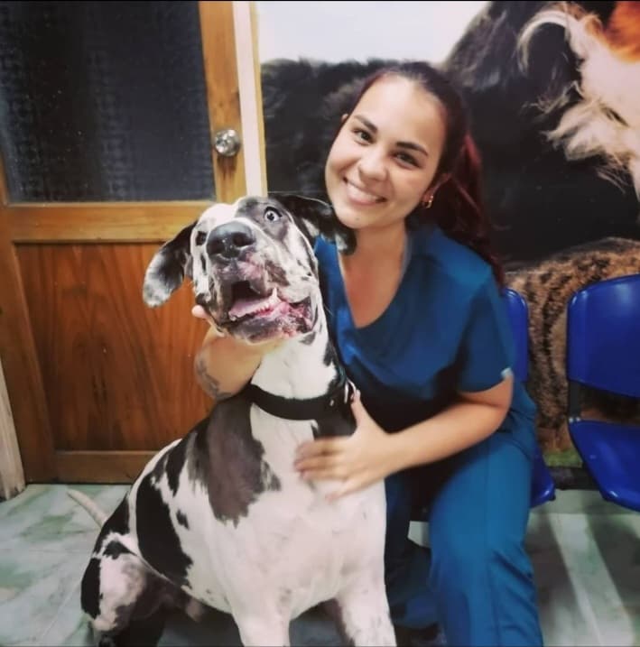Servicios Veterinarios
