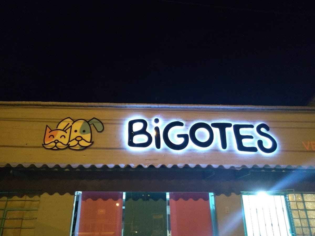 Bigotes Clínica Veterinaria
