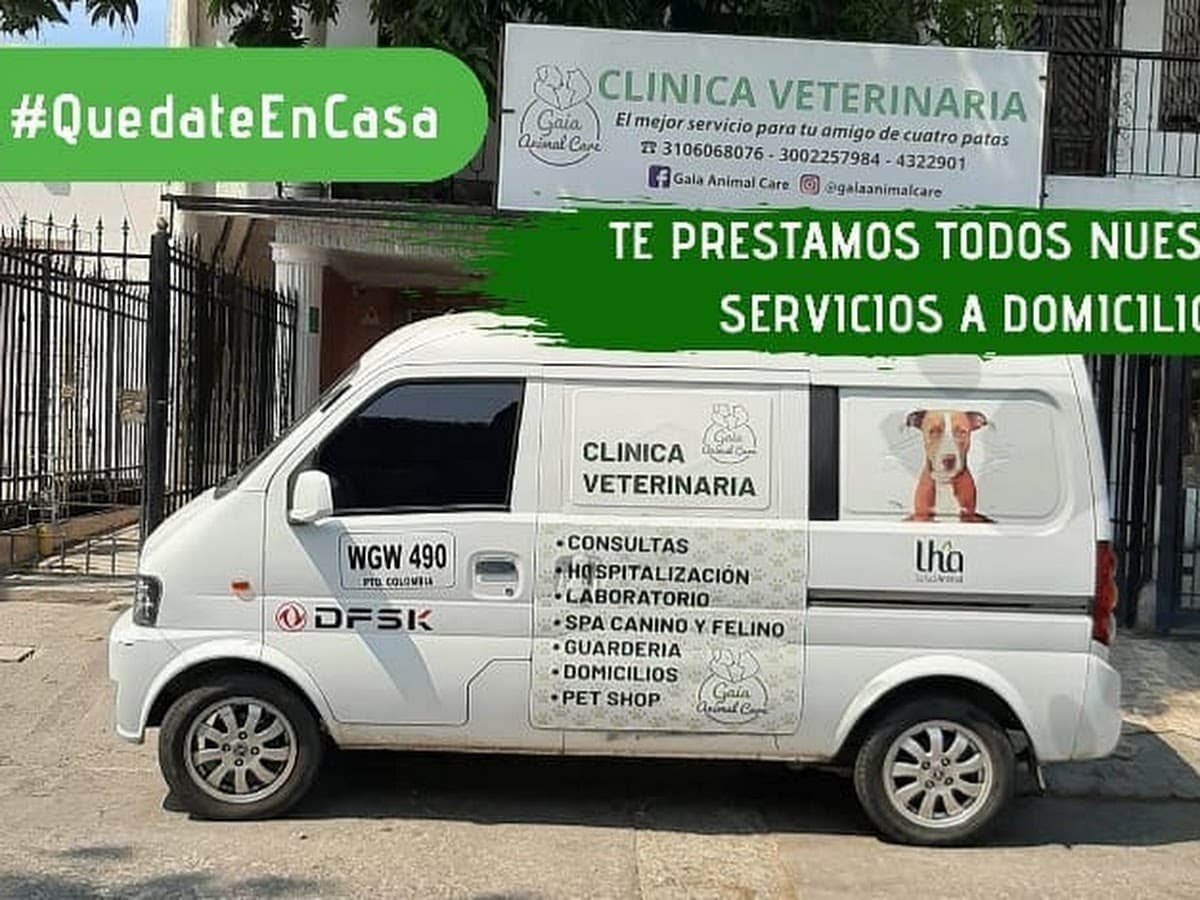 Gaia Clinica Veterinaria