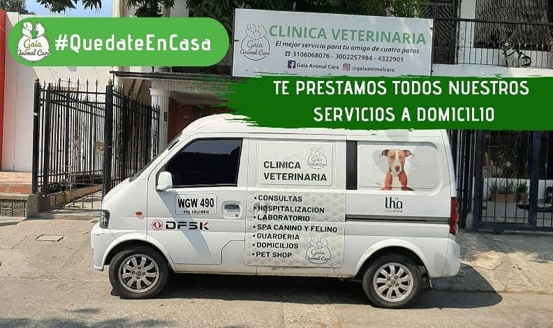 Gaia Clinica Veterinaria — foto
