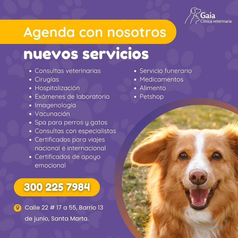 Gaia Clinica Veterinaria — foto
