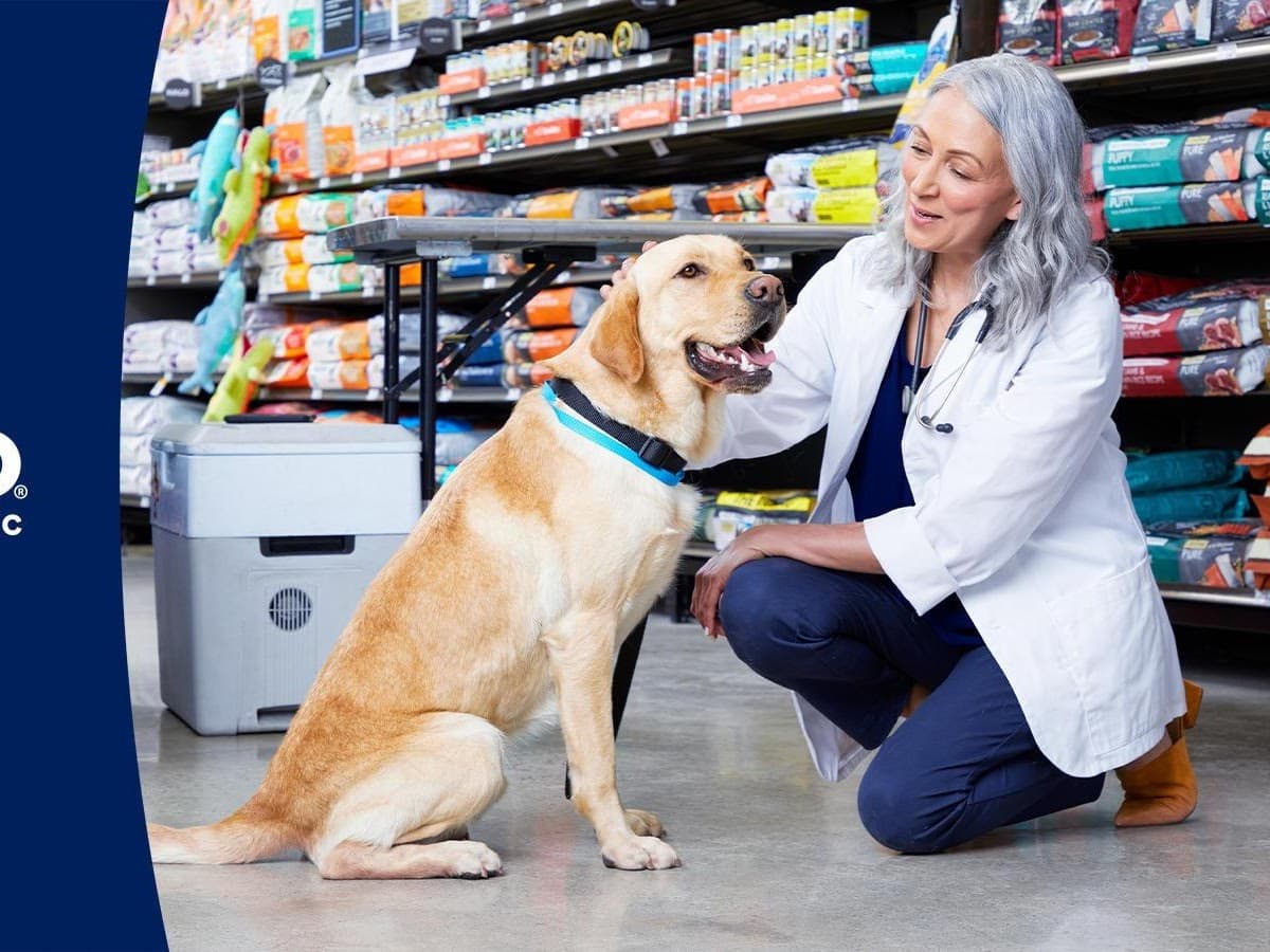 Pet Vet Care FL