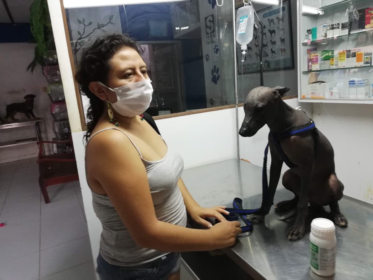 SAFARI blue Veterinaria