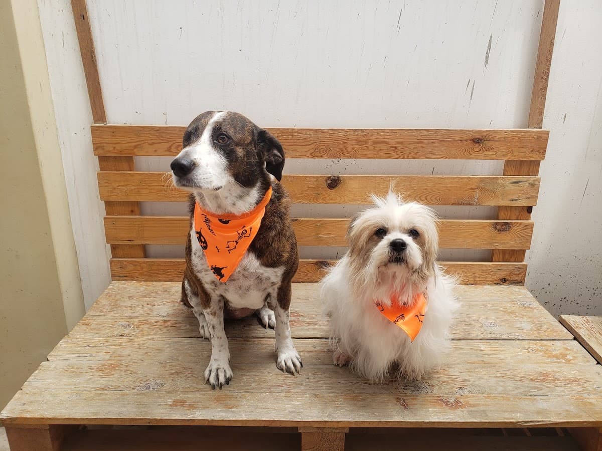 Animal Center — foto