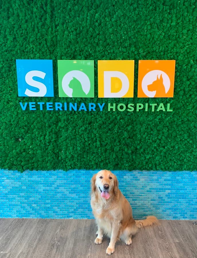 SODO Veterinary Hospital — foto