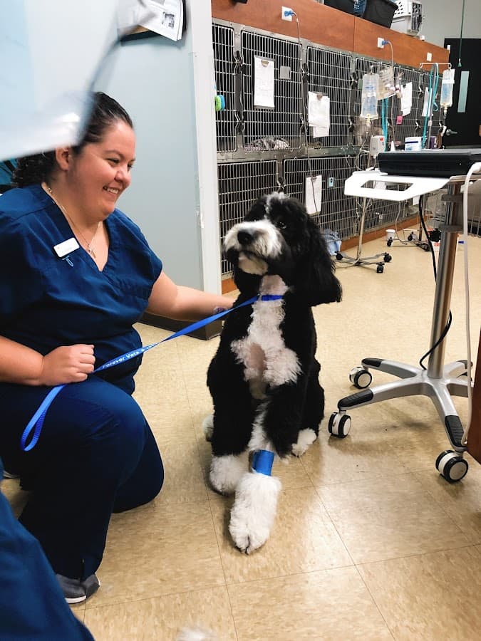 Forever Vets Animal Hospital at Tinseltown