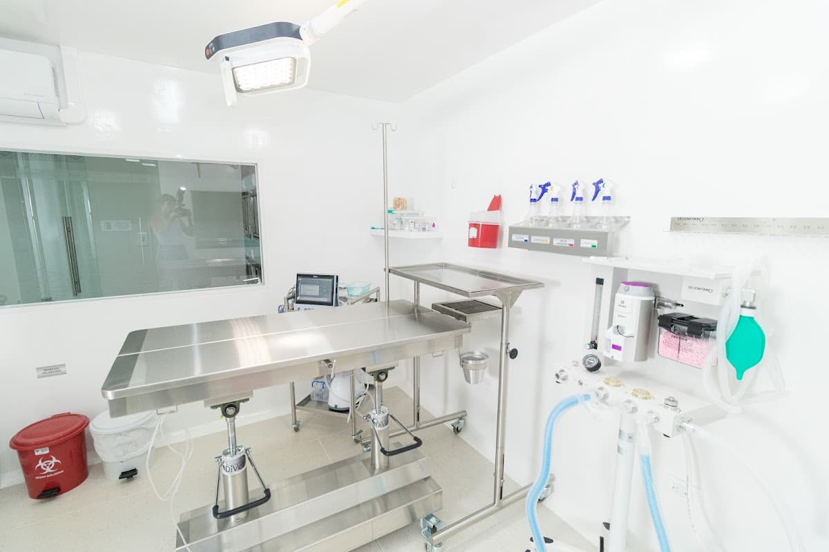 Coravet Centro Veterinario Pereira — foto
