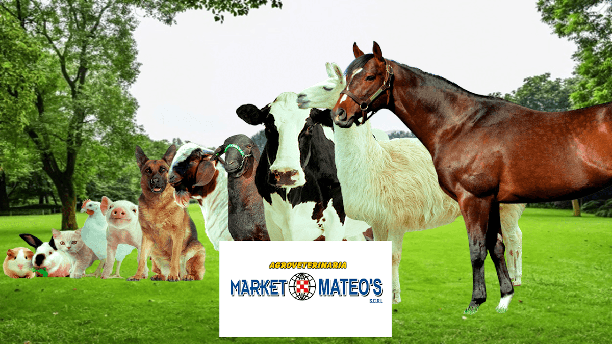 MARKET MATEO'S Agroveterinaria en Huancayo y Pampas