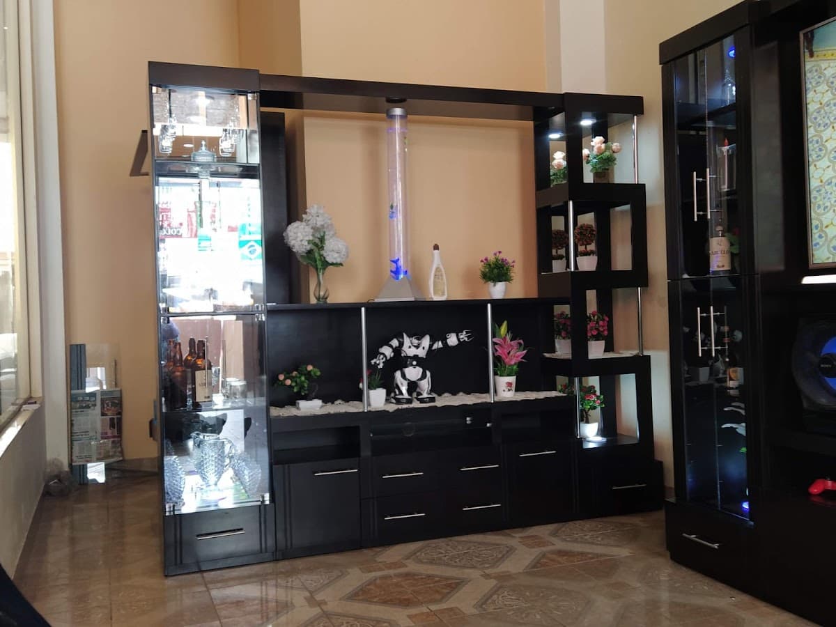 Mueblería Era moderna
