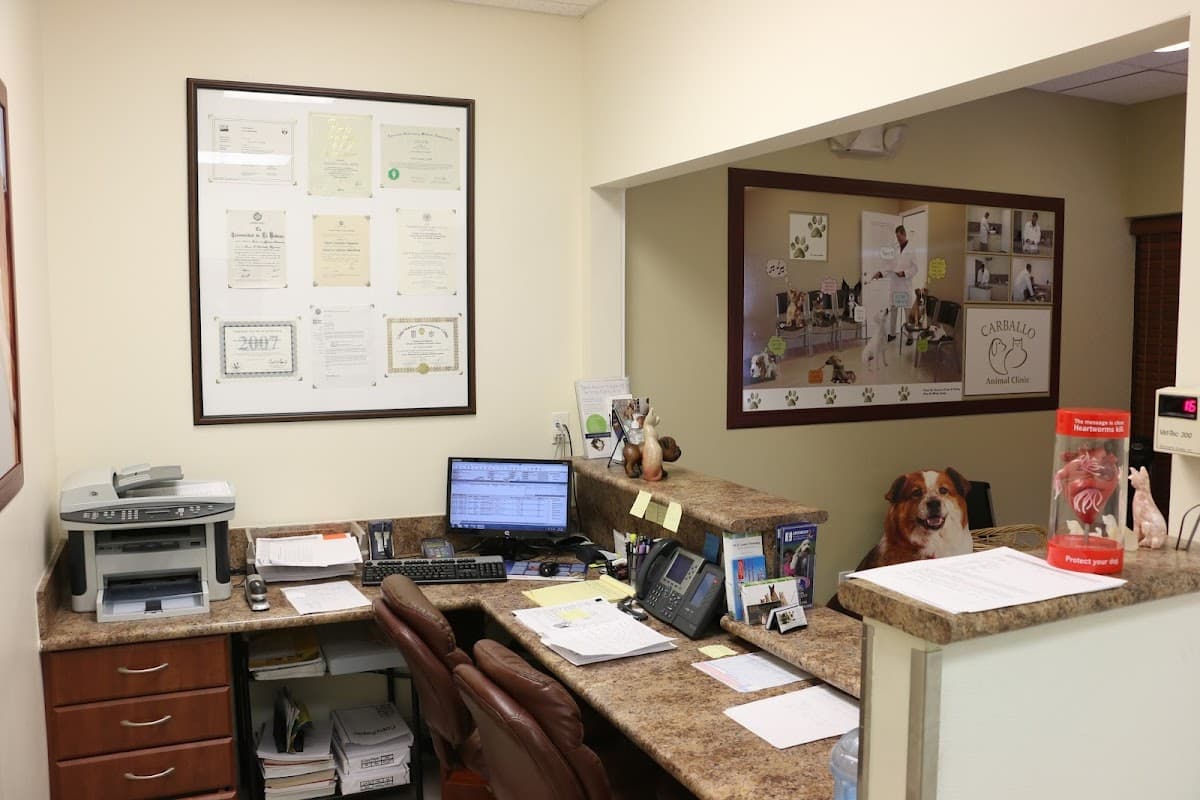 Carballo Animal Clinic — foto