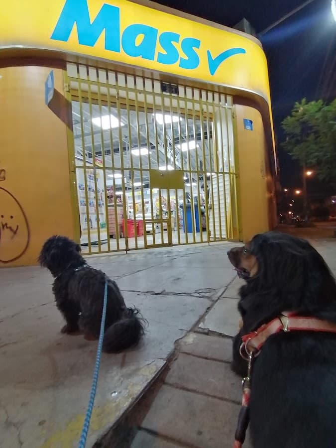 Tienda Mass — foto