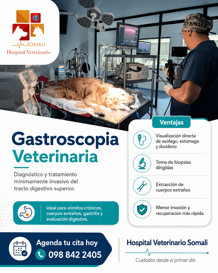 Hospital Veterinario Somalí — foto