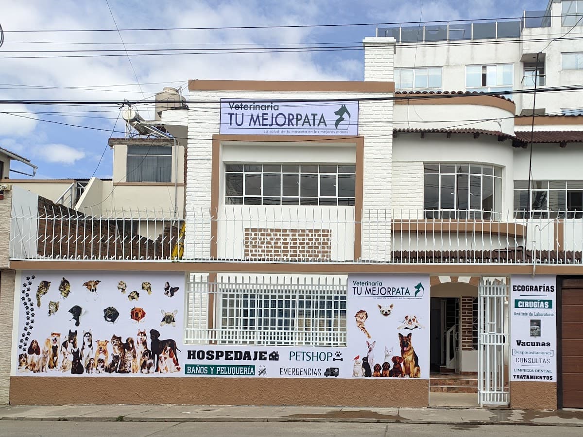 Clínica Veterinaria Central — foto