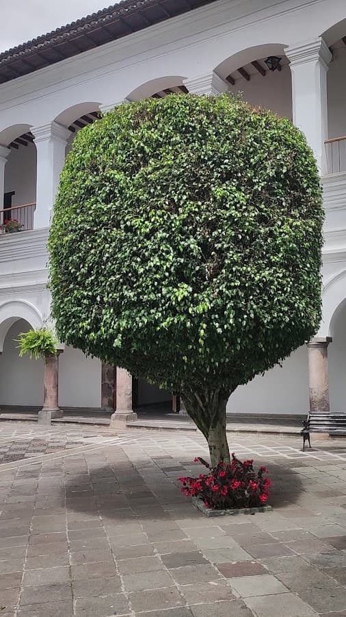 Palacio Arzobispal — foto