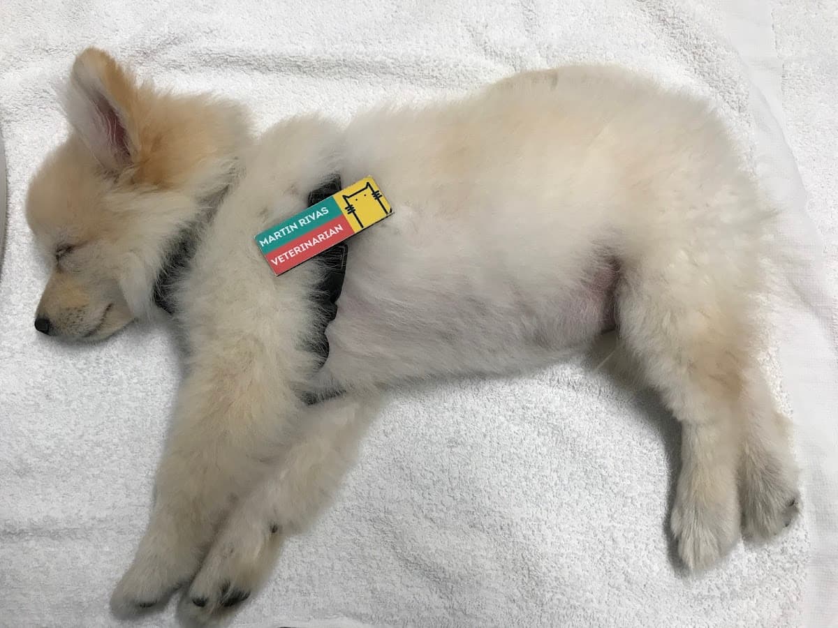 Helpet Veterinary Center — foto