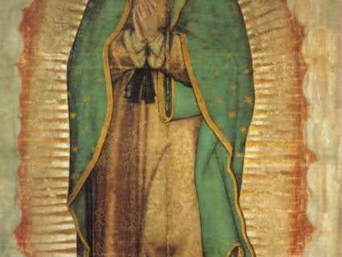 Evelyn Moschiano - Consultoría Jurídica — foto