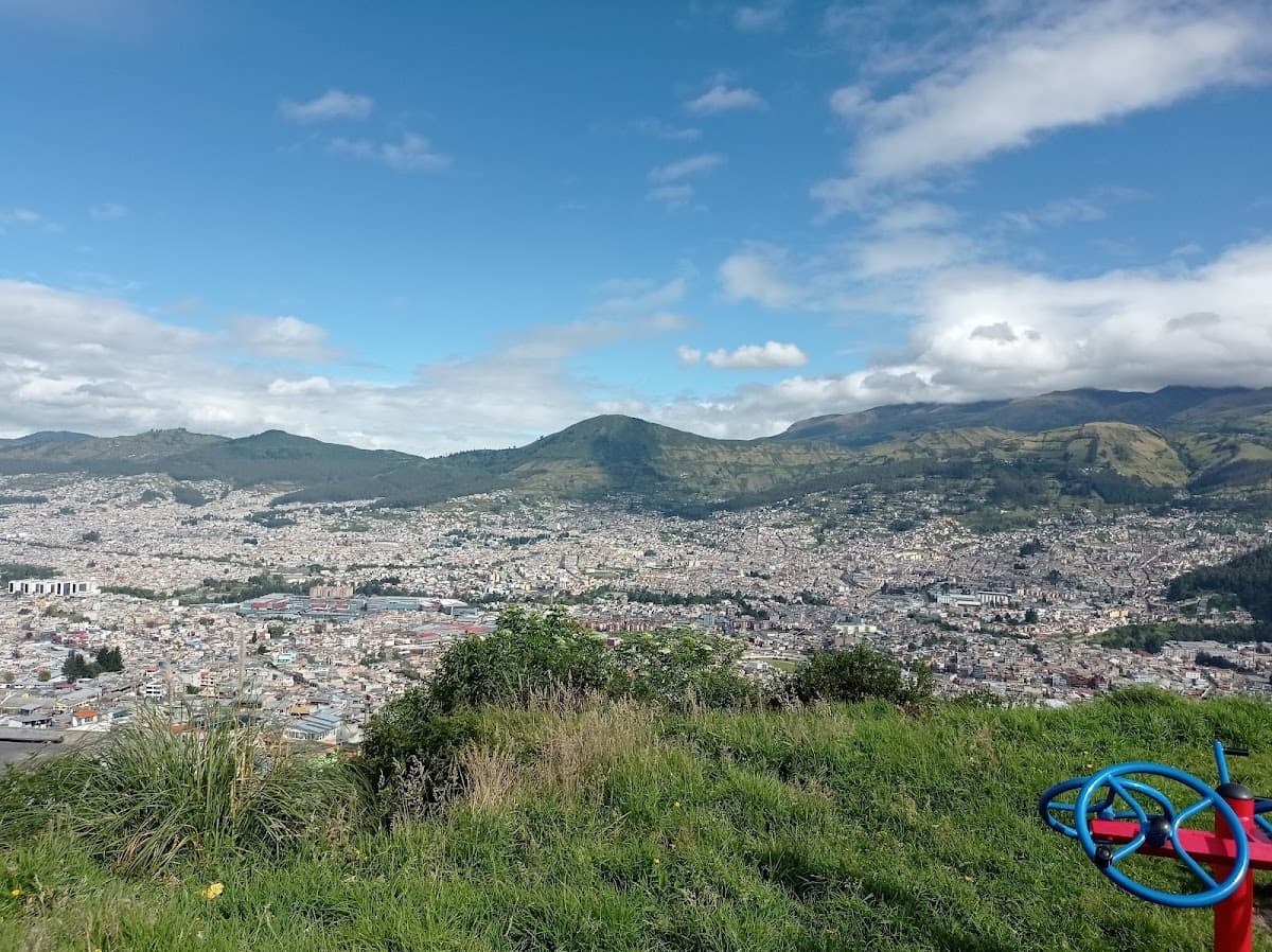 Mirador La Forestal