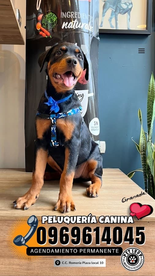 BOCCA DE CANNES SERVICIOS VETERINARIOS — foto