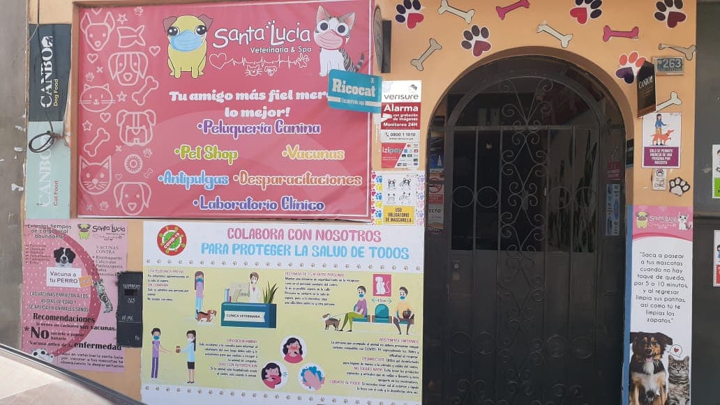 Veterinaria Y Spa Santa Lucia